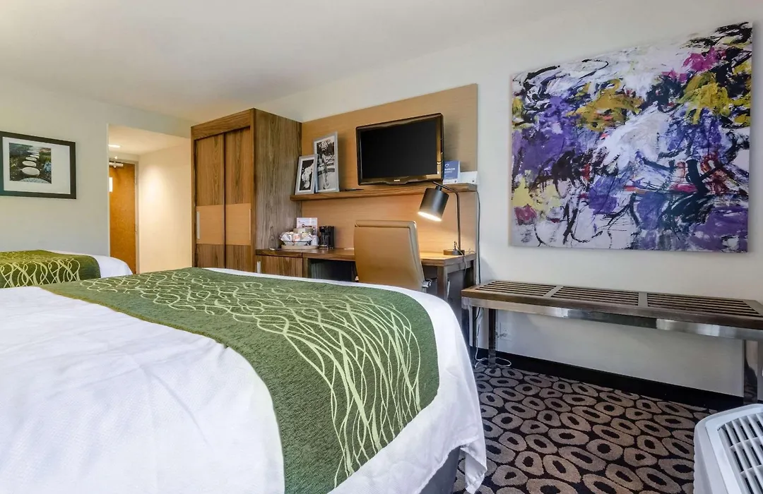Comfort Inn Raleigh Midtown-1